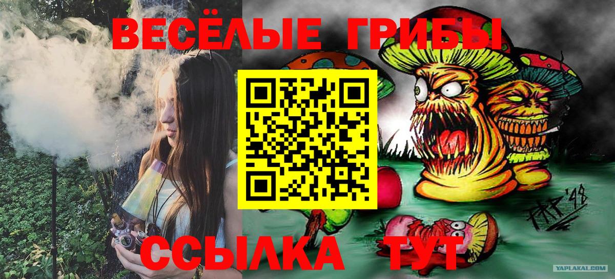Галлюциногенные грибы Psilocybe Петрозаводск